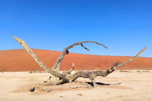 02.11. - Reisebericht "Unter dem Kreuz des Südens in Namibia" – Bild 6