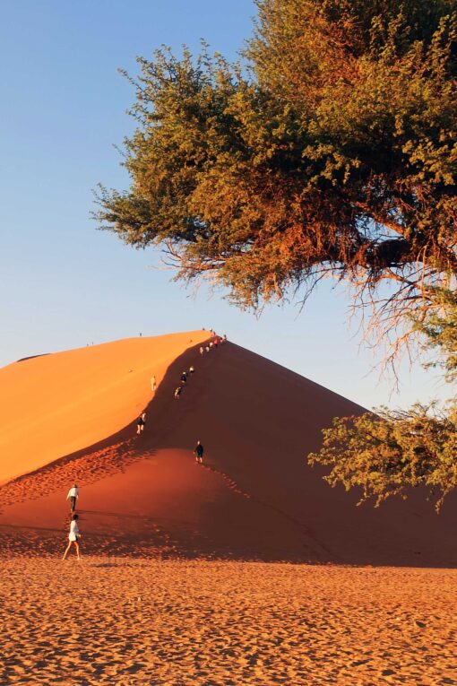 02.11. - Reisebericht "Unter dem Kreuz des Südens in Namibia" – Bild 3